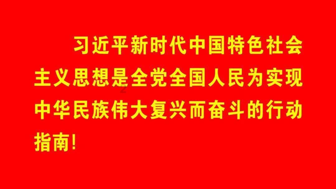 燃烧的蔬菜4新鲜战队